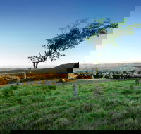 Ravensbourne National Park - Tourism Brisbane