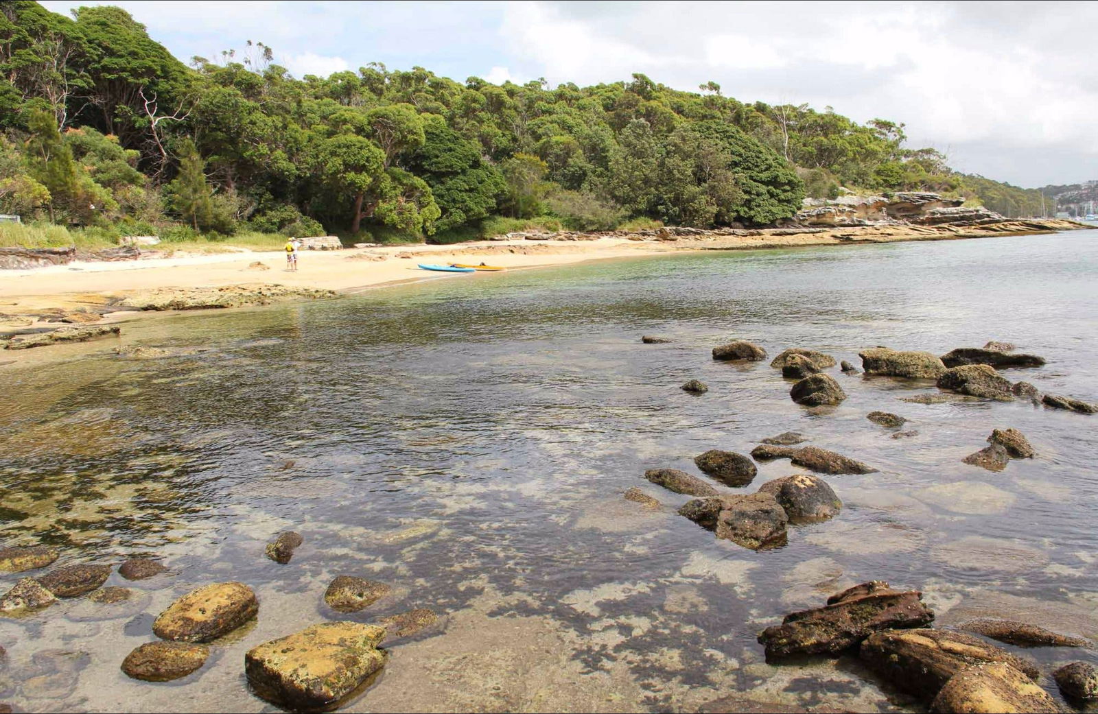 Balgowlah Heights NSW Tourism Brisbane