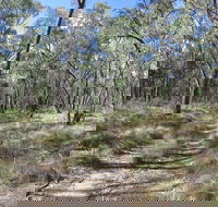 Reef Hills State Park - Tourism Brisbane