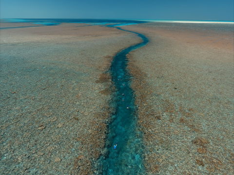 Rowley Shoals - Tourism Brisbane 0
