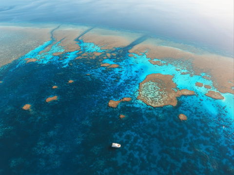 Rowley Shoals - Tourism Brisbane 1