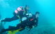 Shellharbour Scuba  And Photography Centre - thumb 1