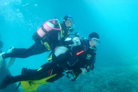 Shellharbour Scuba  And Photography Centre - Tourism Brisbane 1