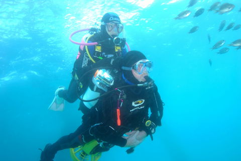 Shellharbour Scuba  And Photography Centre - Tourism Brisbane 2