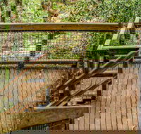 Somersby Falls walking track - Brisbane Tourism