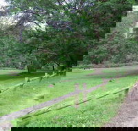 St Albans Reserve - Brisbane Tourism