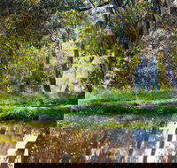 Strathnairn Arts - Brisbane Tourism