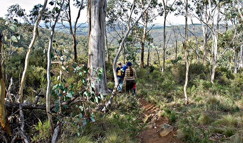 Summits Walking Track - Brisbane Tourism 0