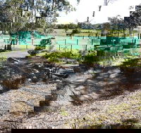 Tactical Paintball Games - Tourism Brisbane