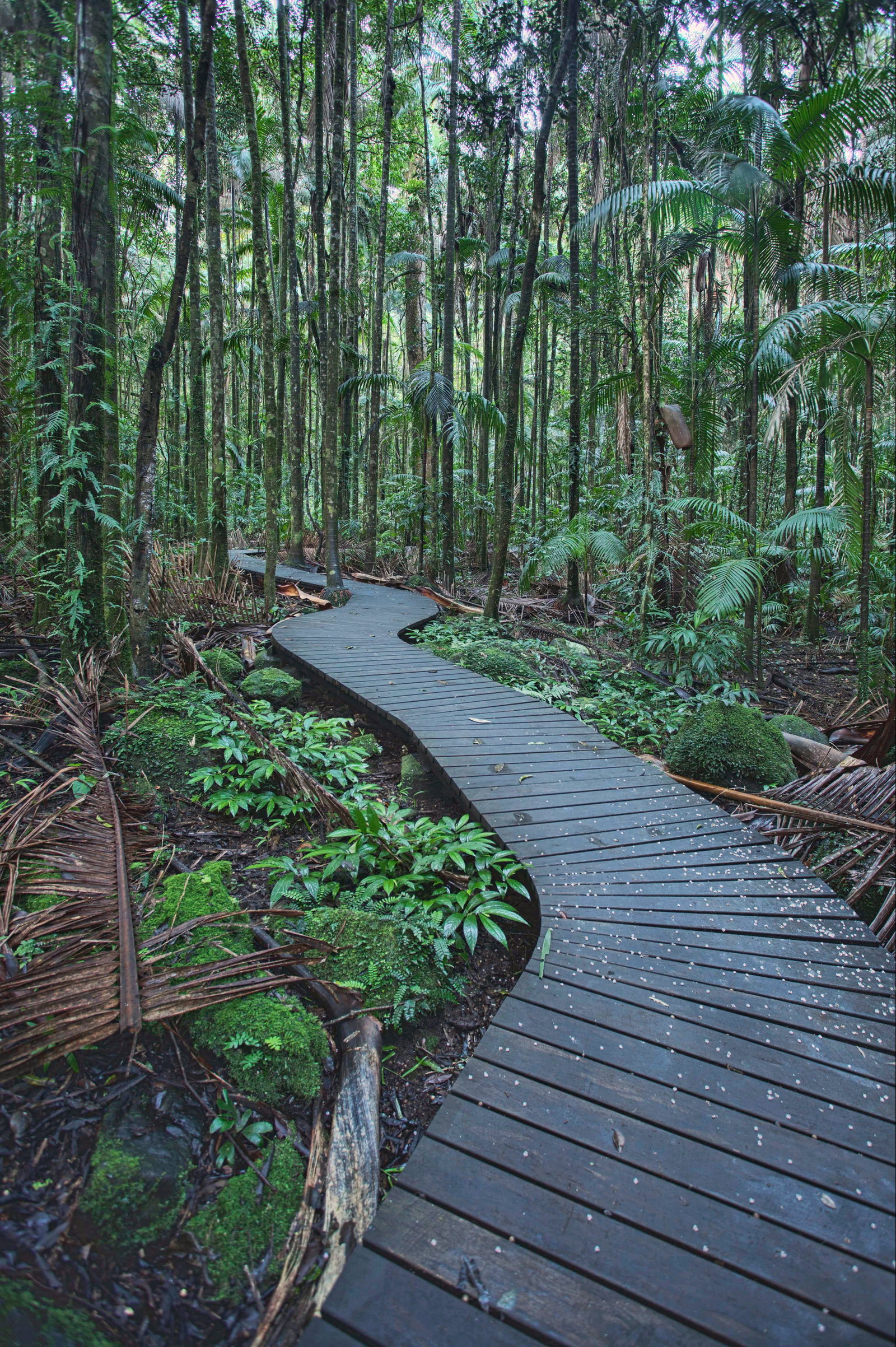 Numulgi NSW Tourism Brisbane