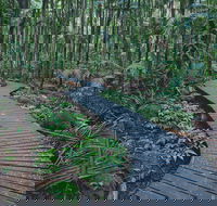 The Channon Protesters Falls Nimbin and Mount Nardi - Tourism Brisbane