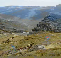 Thredbo Mountain Biking - Brisbane Tourism