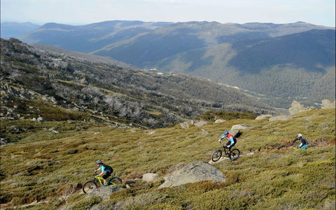 Thredbo Mountain Biking - Brisbane Tourism 0
