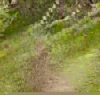 Three Views walking track - Brisbane Tourism