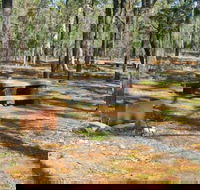 Two Dams picnic area - Tourism Brisbane