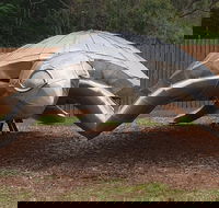 Underwater Marine Sculptures - Tourism Brisbane