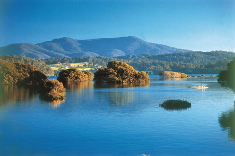 Wagonga Picnic Area - Brisbane Tourism 0