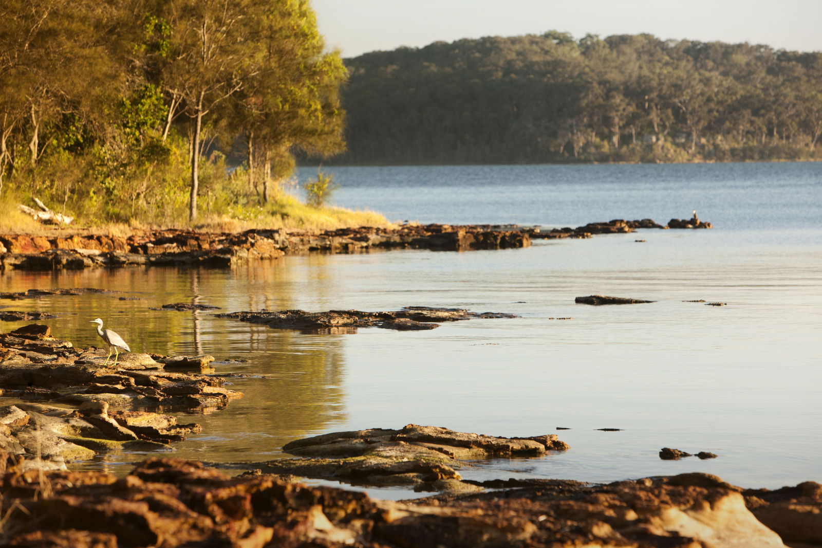 Wangi Wangi NSW Tourism Brisbane