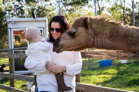 White Ridge Farm - Brisbane Tourism 0