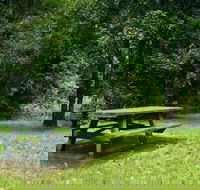 Williams River picnic area - Tourism Brisbane