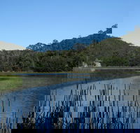 Yalwal - Tourism Brisbane