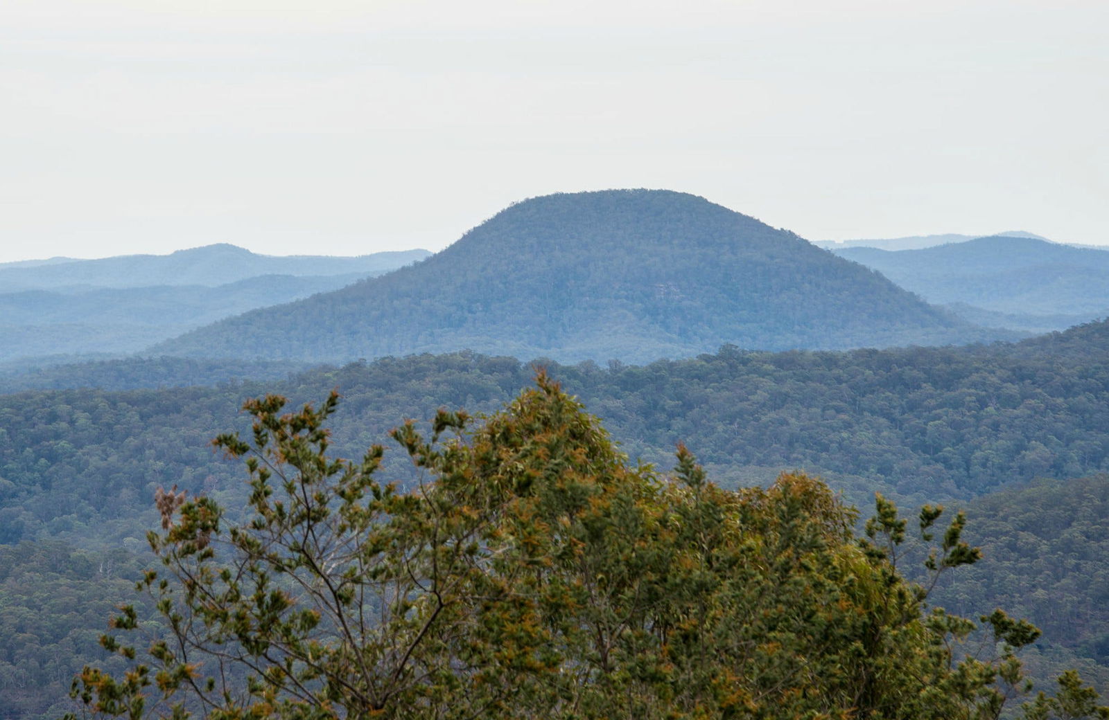Abernethy NSW Tourism Brisbane