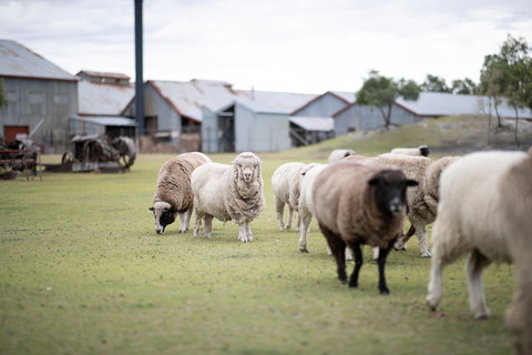 14 Day Gems Of The Outback - Brisbane Tourism 2