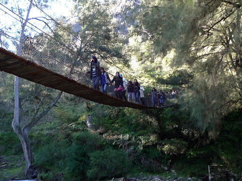 Abercrombie Caves - Tourism Brisbane 1
