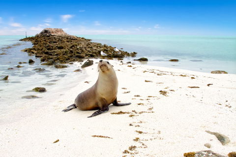 Abrolhos Islands - Tourism Brisbane 0