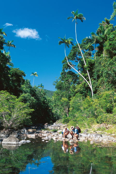 Airlie Beach To Cedar Creek Falls - Brisbane Tourism 1