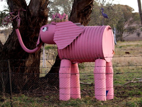 Animals On Bikes - Tourism Brisbane 0