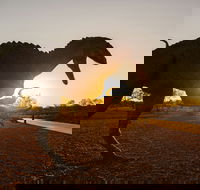 Australian Dinosaur Trail - Tourism Brisbane