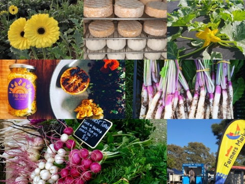 Ballina Farmers Market - Brisbane Tourism 1