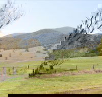 Banimboola Creek Rest Area - Tourism Brisbane