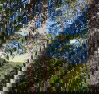 Basin Loop Track - Tourism Brisbane