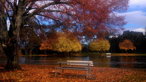 Bells Parade Reserve - Tourism Brisbane 0