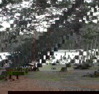 Big Brook Arboretum - Tourism Brisbane