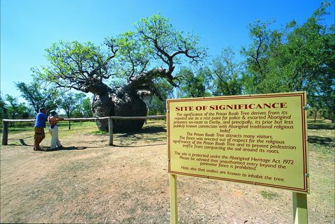 Boab Prison Tree - Tourism Brisbane 0