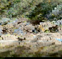 Boonoo Boonoo National Park - Tourism Brisbane