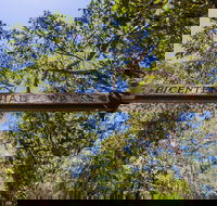 Bribie Island Bicentennial Trails - Brisbane 4u