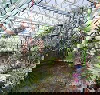 Cairns ZOOM and Wildlife Dome - Tourism Brisbane