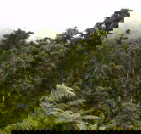 Cascade National Park - Tourism Brisbane