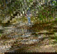 Cliff Face track - Tourism Brisbane