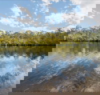 Cockatoo picnic area - Brisbane Tourism