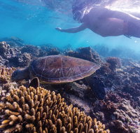 Complete Ningaloo Reef Experience - Tourism Brisbane