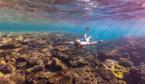 Complete Ningaloo Reef Experience - Tourism Brisbane 1