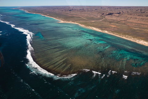 Complete Ningaloo Reef Experience - Tourism Brisbane 2