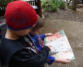 Cumberland State Forest - Tourism Brisbane 2