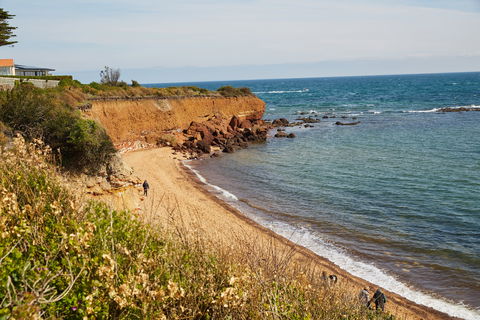 Davey's Bay - Brisbane Tourism 0