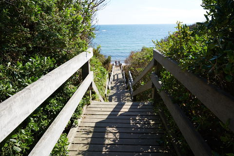 Davey's Bay - Brisbane Tourism 1